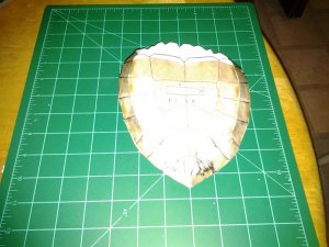 20120728_232848.jpg