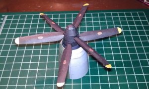 IMAG0527.jpg