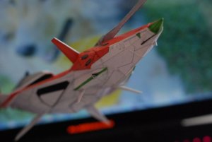 DSC_0046.jpg