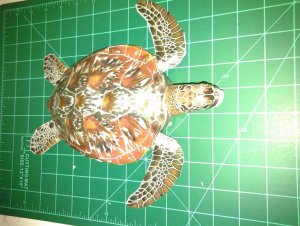 20120729_211536.jpg
