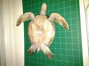 20120729_211627.jpg