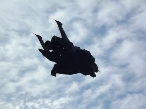 raptor-flying02.jpg