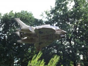raptor-flying09.jpg