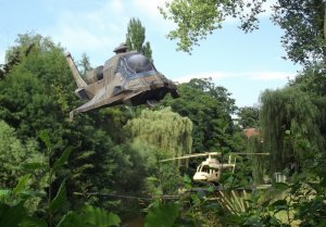 raptor-flying16.jpg