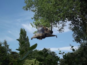 raptor-flying21.jpg