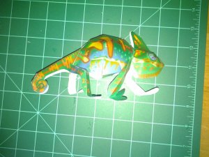 20120812_131610.jpg
