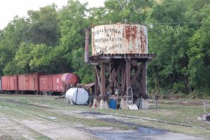 DSC_0028.jpg