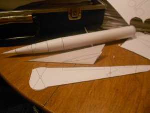 swallow 3.jpg