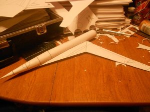 swallow 5.jpg