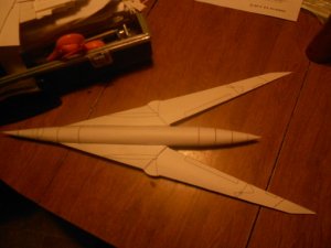 Swallow 6.jpg