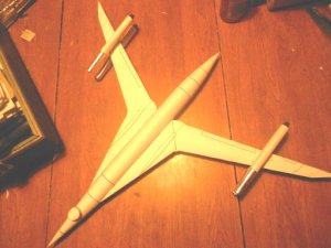 Swallow 8.jpg