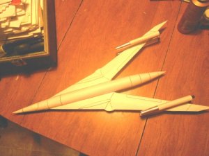 Swallow 9.jpg