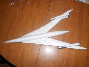 Swallow 11.jpg