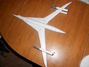 Swallow 12.jpg