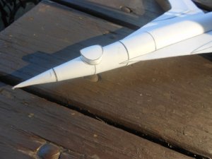 Swallow 14.jpg