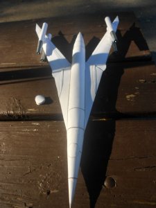 Swallow 17.jpg