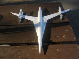 Swallow 19.jpg