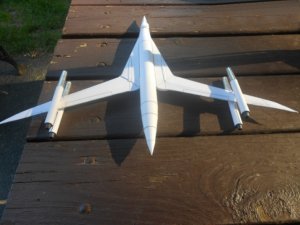 Swallow 20.jpg