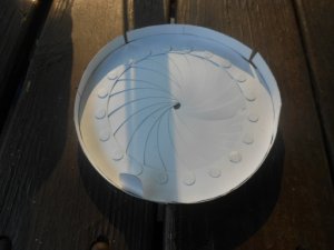 Iris 2.jpg