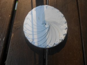 Iris 5.jpg