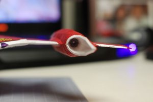 07.jpg