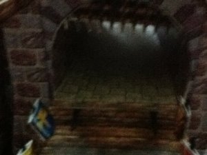 IMG_1309_resize.JPG