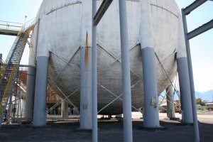 IMG_6688.jpg