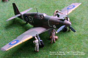 Mustang I AG522 113.jpg