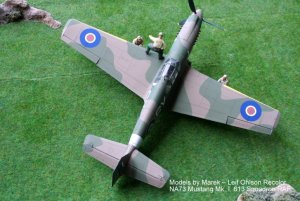 Mustang I AG522 114.jpg