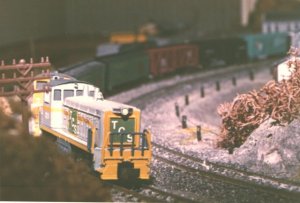 tcs way freight.jpg