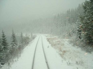 snowcurve2.jpg