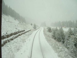 low road.jpg