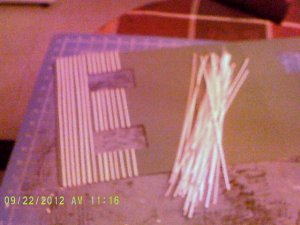 001.JPG