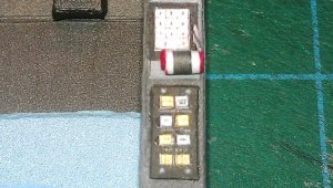 IMAG1178.jpg