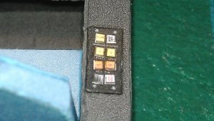 IMAG1181.jpg