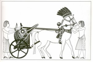 chariot-02.jpg