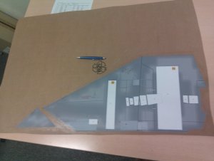 wing 1.jpg