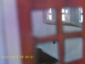 011.JPG