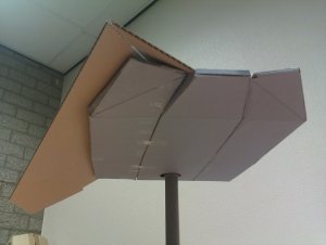 wing4.jpg