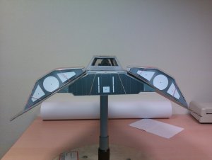 custom back1.jpg