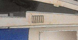 IMAG1244.jpg