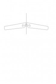 swing wing1.jpg