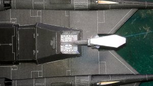 IMAG1438.jpg