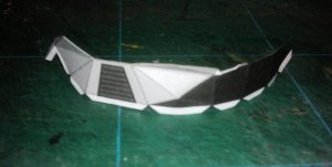 IMAG1273.jpg