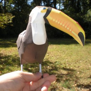 canontoucans.jpg