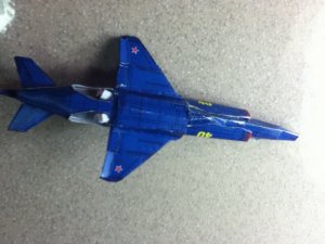 IMG_1589_resize.jpg
