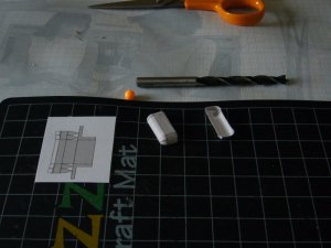 P1020164.jpg