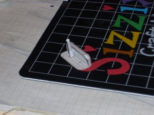 P1020171.jpg