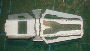 IMAG1546.jpg