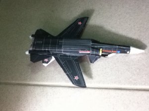 IMG_1635_resize.JPG